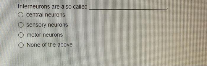 Well Trained Medical Assistants Are Expected To Provide Clinical Assistance Administrative Assistance Customer Service N 14