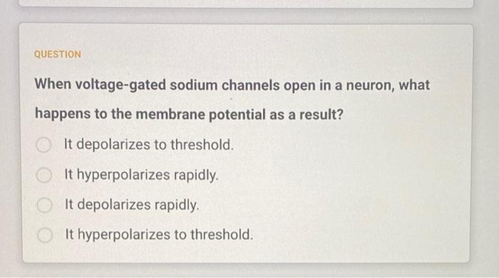 Question When Voltage Gated Sodium Channels Open In A Neuron What Happens To The Membrane Potential As A Result It Dep 1
