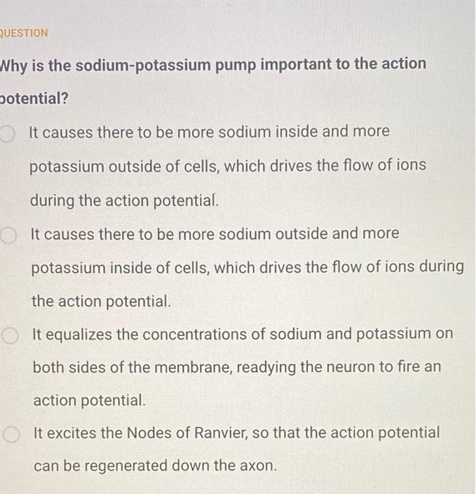 Question When Voltage Gated Sodium Channels Open In A Neuron What Happens To The Membrane Potential As A Result It Dep 2