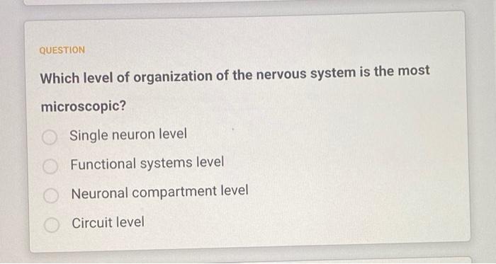 Question When Voltage Gated Sodium Channels Open In A Neuron What Happens To The Membrane Potential As A Result It Dep 4