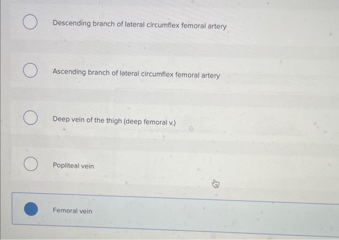 O Descending Branch Of Lateral Circumflex Femoral Artery Ascending Branch Of Lateral Circumflex Femoral Artery Deep Vein 2
