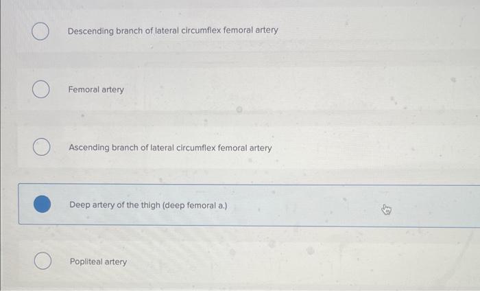 Descending Branch Of Lateral Circumflex Femoral Artery Femoral Artery Ascending Branch Of Lateral Circumflex Femoral Art 2