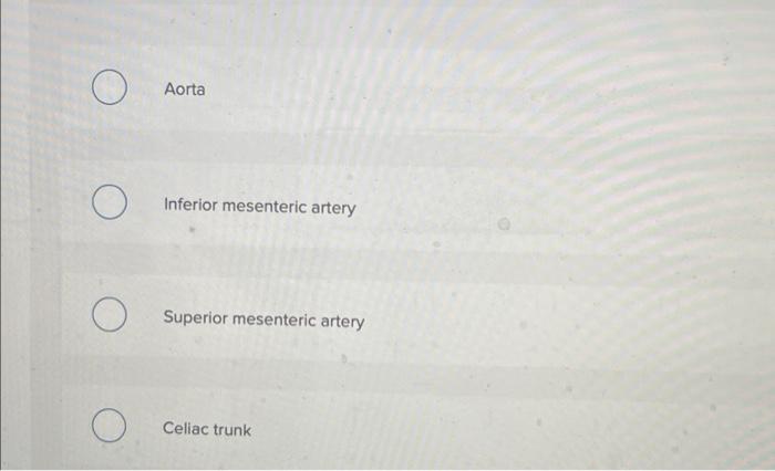 O O O O Aorta Inferior Mesenteric Artery Superior Mesenteric Artery Celiac Trunk 2