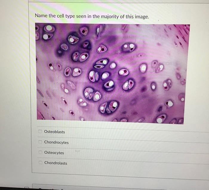 Hematoxylin And Eosin Is The Most Common Staining Method Using Two Stains True False Name The Cell Type Seen In The Ma 2