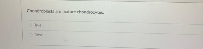 Identify The Structure The Arrows Are Pointing To Periosteum Trabeculae Osteon Ch No Answer Text Provided Chondroblas 2