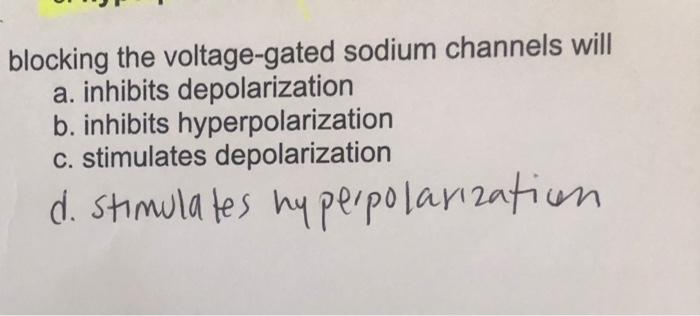 Blocking The Voltage Gated Sodium Channels Will A Inhibits Depolarization B Inhibits Hyperpolarization C Stimulates D 1
