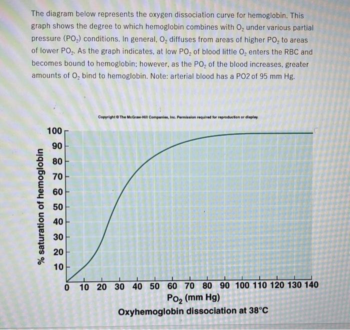 1 The Curve Decreases Between 100 40 Mm Hg Po What Does This Mean In Terms Of Hemoglobin S Hb Oxygen Releasing A 2