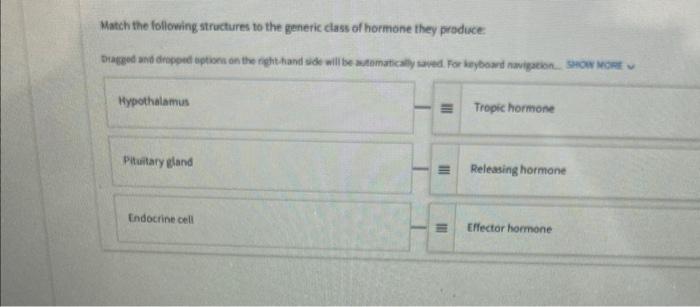 Match The Following Structures To The Generic Class Of Hormone They Produce Dragged And Dropped Options On The Right Han 1