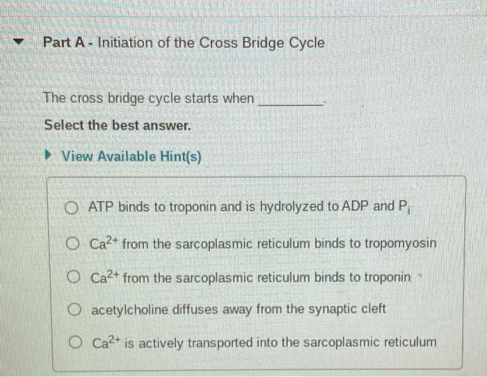 Part A Initiation Of The Cross Bridge Cycle C The Cross Bridge Cycle Starts When Select The Best Answer View Availabl 1
