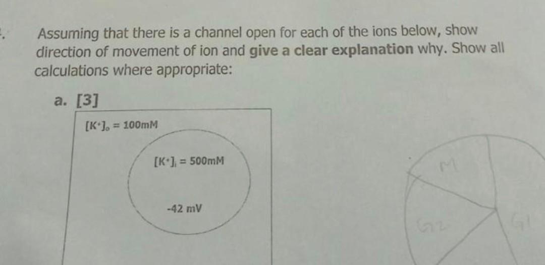 Assuming That There Is A Channel Open For Each Of The Ions Below Show Direction Of Movement Of Ion And Give A Clear Exp 1