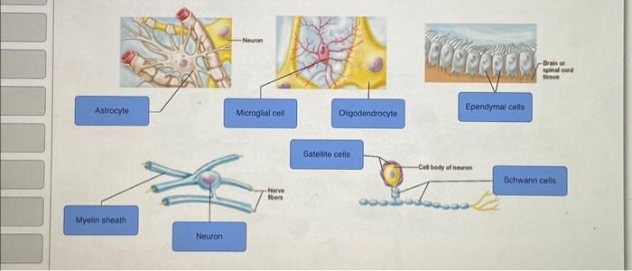 Please Put The Correct Names Of The Parts Of The Following 1