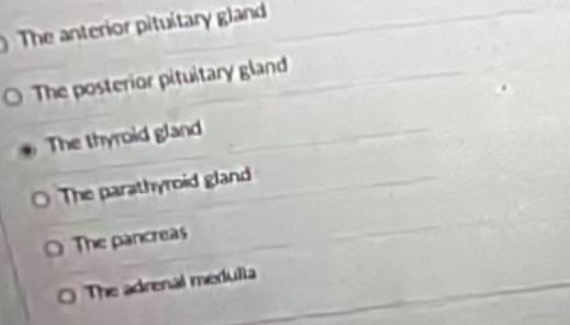 Bob Got Some Bloodwork Done The Results Tells Him He Has Elecates Levels If Parathyroid Hormone And Calcitonin In His B 1