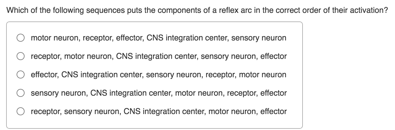 Which Of The Following Sequences Puts The Components Of A Reflex Arc In The Correct Order Of Their Activation Motor Neu 1