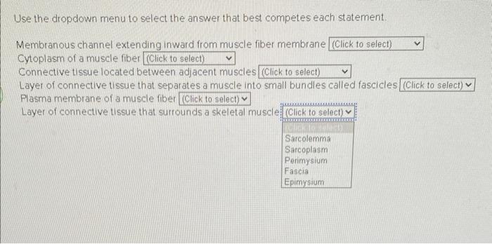 Use The Dropdown Menu To Select The Answer That Best Competes Each Statement Membranous Channel Extending Inward From M 1