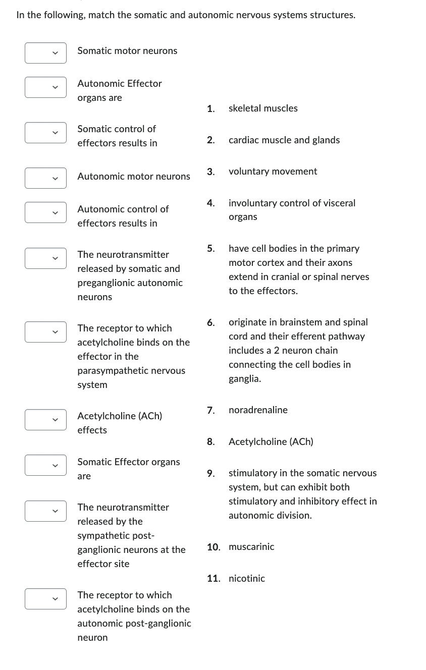 In The Following Match The Somatic And Autonomic Nervous Systems Structures Da A Od D Dd Somatic Motor Neurons Autonom 1