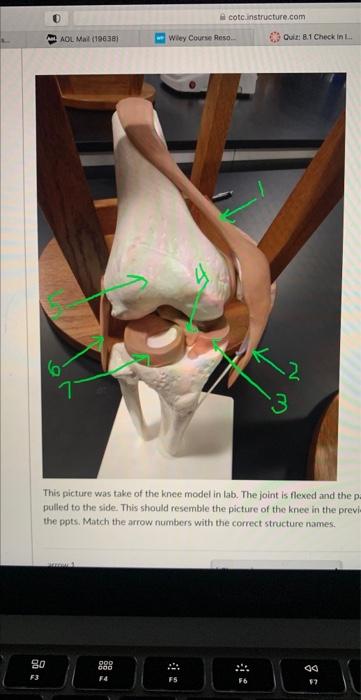 Aol Mail 19638 6 7 80 F3 999 000 F4 Cotc Instructure Com Wiley Course Reso This Picture Was Take Of The Knee Model 1