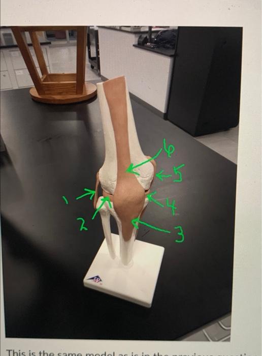 2 This Is The Same Model 4 2