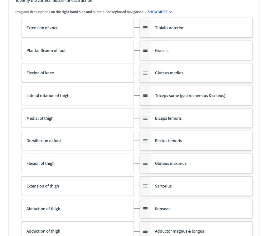 Drag And Drop Options On The Right Hand Side And Submit For Keyboard Navigation Show More Extension Of Knee Planta 1