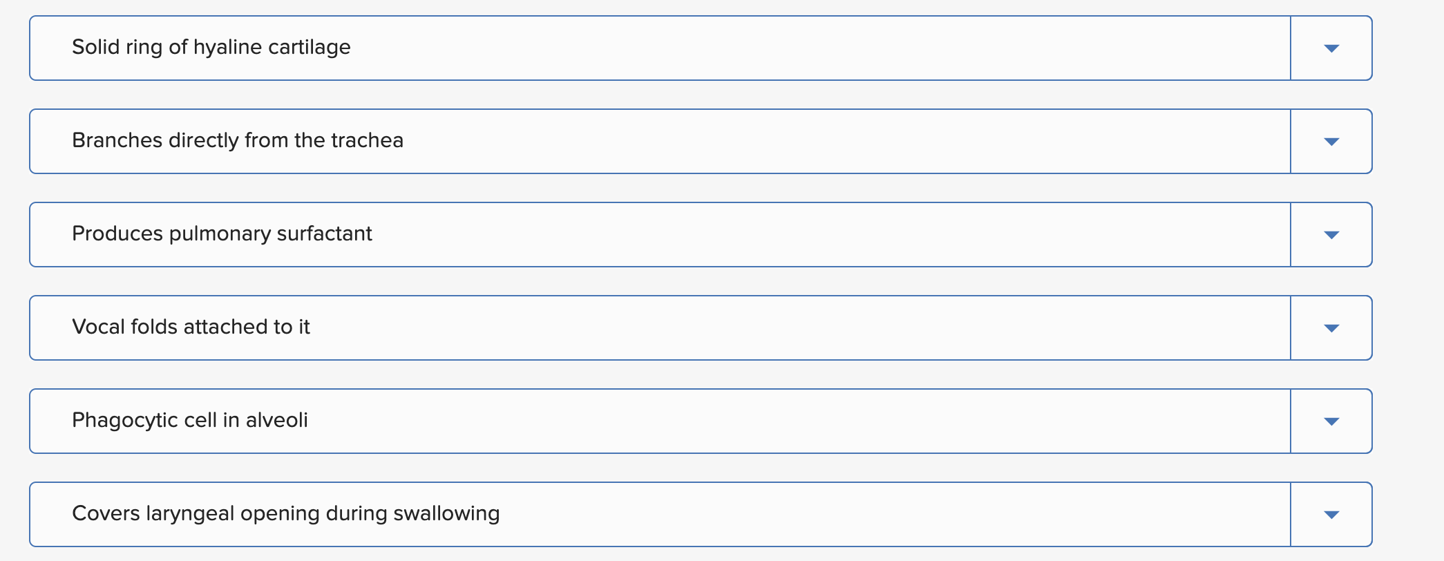Match Each Numbered Item With The Most Closely Related Lettered Item 1 5 Nasal Meatus Arytenoid Cartilage 9 Cricoid Car 2