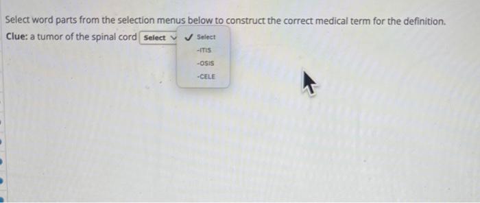 Select Word Parts From The Selection Menus Below To Construct The Correct Medical Term For The Definition Clue A Tumor 4