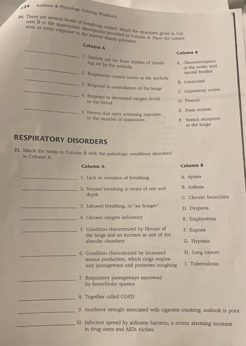Anatomy Physiology Coloring Workbook 20 There Are Several Levels Of Breathing Control Match The Structures Given In C 1