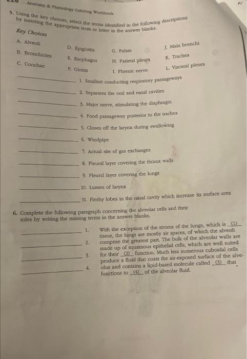 Anatomy Physiology Coloring Workbook 5 Using The Key Choices Select The Terms Identified In The Following Descriptio 1