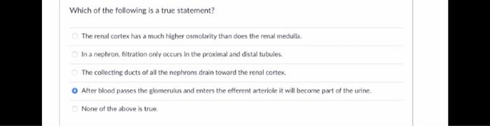 Which Of The Following Is A True Statement A Substance Moved From The Peritubular Capillary To The Proximal Tubule Is C 2
