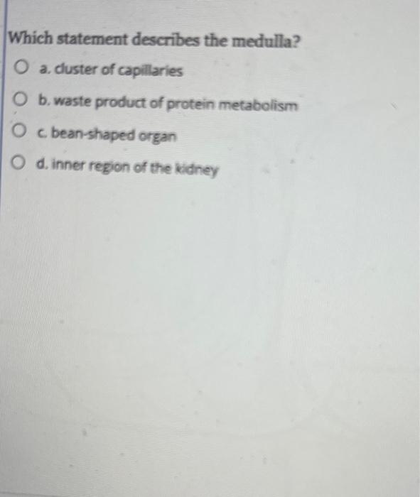 Which Statement Describes The Medulla O A Cluster Of Capillaries O B Waste Product Of Protein Metabolism O C Bean Sh 1