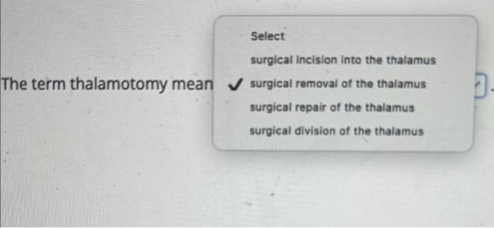 Select Surgical Incision Into The Thalamus The Term Thalamotomy Mean Surgical Removal Of The Thalamus Surgical Repair 1