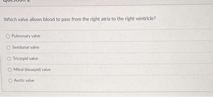 Which Of The Following Is A Function Of The Cardiac Skeleton It Prevents Electrical Signals From Traveling Directly Fro 2