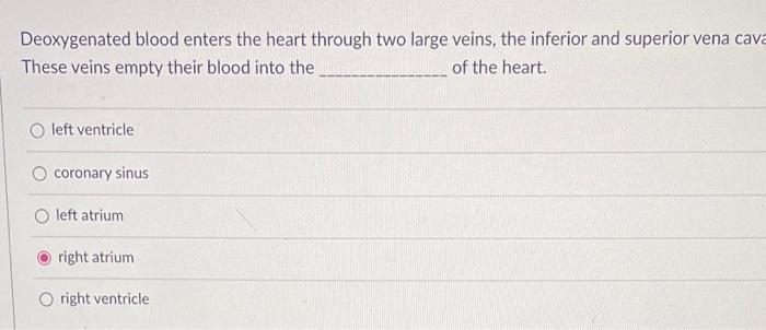 Deoxygenated Blood Enters The Heart Through Two Large Veins The Inferior And Superior Vena Cava These Veins Empty Their 1