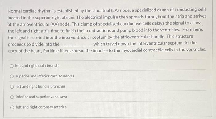 Deoxygenated Blood Enters The Heart Through Two Large Veins The Inferior And Superior Vena Cava These Veins Empty Their 2
