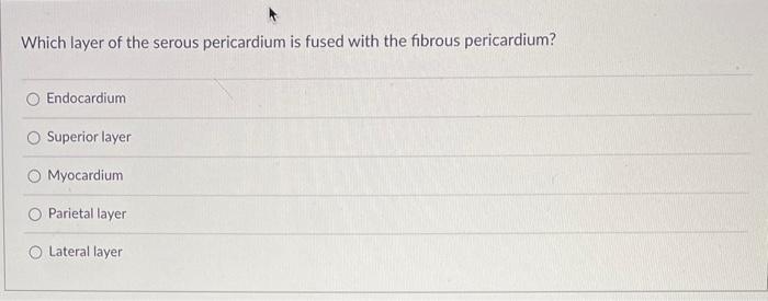 Which Layer Of The Serous Pericardium Is Fused With The Fibrous Pericardium Endocardium Superior Layer Myocardium Parie 1