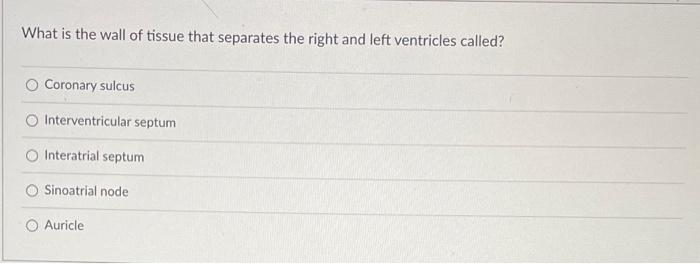 Which Layer Of The Serous Pericardium Is Fused With The Fibrous Pericardium Endocardium Superior Layer Myocardium Parie 2