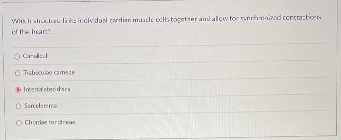 Which Layer Of The Serous Pericardium Is Fused With The Fibrous Pericardium Endocardium Superior Layer Myocardium Parie 3
