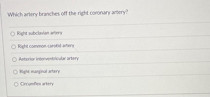 Which Venous System Connects The Inferior Vena Cava To The Superior Vena Cava And Serves As An Alternative Route For Blo 2
