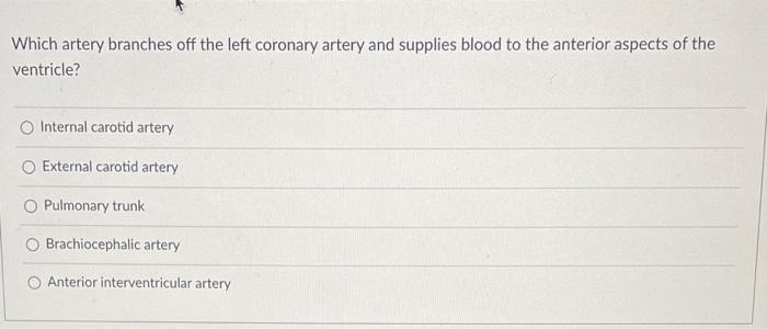 Which Venous System Connects The Inferior Vena Cava To The Superior Vena Cava And Serves As An Alternative Route For Blo 3