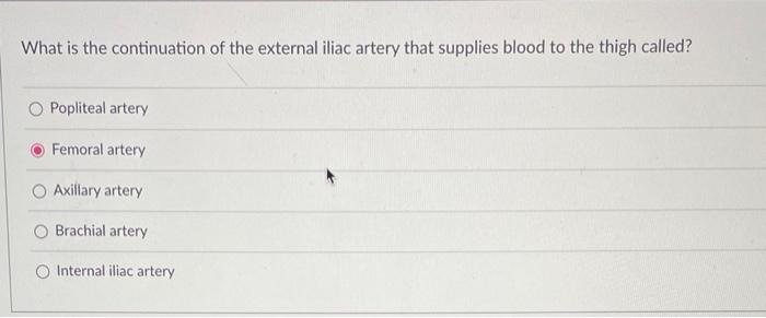 Which Venous System Connects The Inferior Vena Cava To The Superior Vena Cava And Serves As An Alternative Route For Blo 4