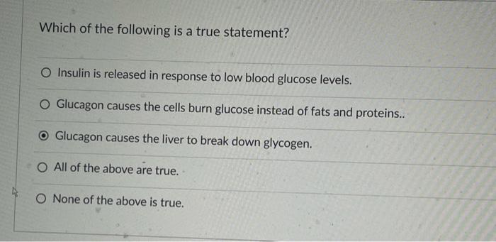 Which Of The Following Is A True Statement O Insulin Is Released In Response To Low Blood Glucose Levels O Glucagon Ca 1