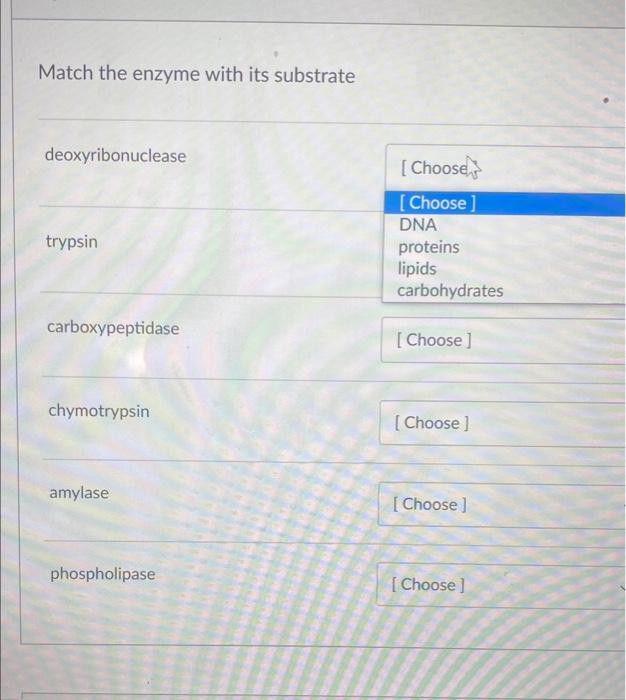 Match The Enzyme With Its Substrate Deoxyribonuclease Trypsin Carboxypeptidase Chymotrypsin Amylase Phospholipase Choos 1
