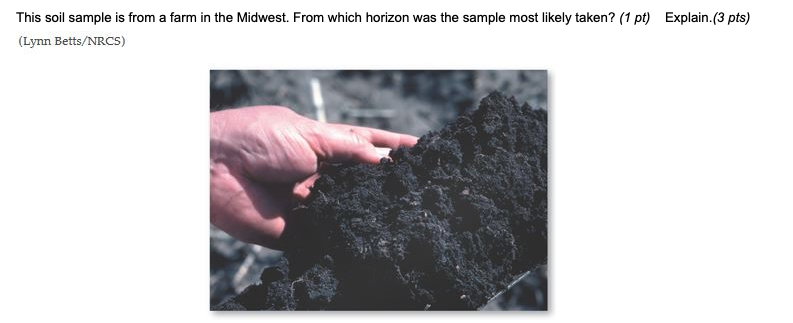 This Soil Sample Is From A Farm In The Midwest From Which Horizon Was The Sample Most Likely Taken 1 Pt Explain 3 P 1