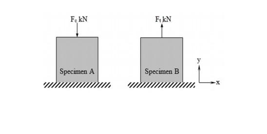 F Kn Specimen A Ft Kn Specimen B F Kn Specimen A Ft Kn Specimen B A B Necking Is A Common Phenomenon Of Ductile 1