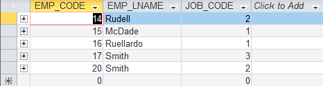 Benifit Employee Job Plan 2