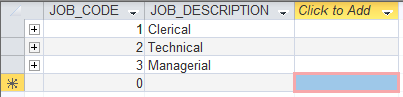 Benifit Employee Job Plan 3