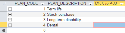 Benifit Employee Job Plan 4