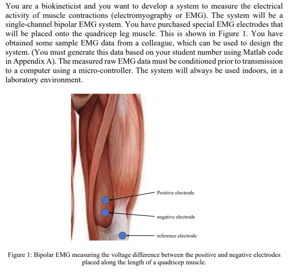 You Are A Biokineticist And You Want To Develop A System To Measure The Electrical Activity Of Muscle Contractions Elec 1