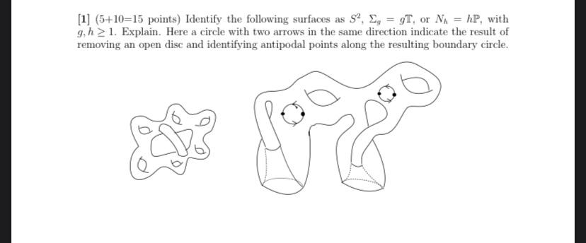 1 5 10 15 Points Identify The Following Surfaces As S Eggt Or N Hp With G H21 Explain Here A Circle With T 1
