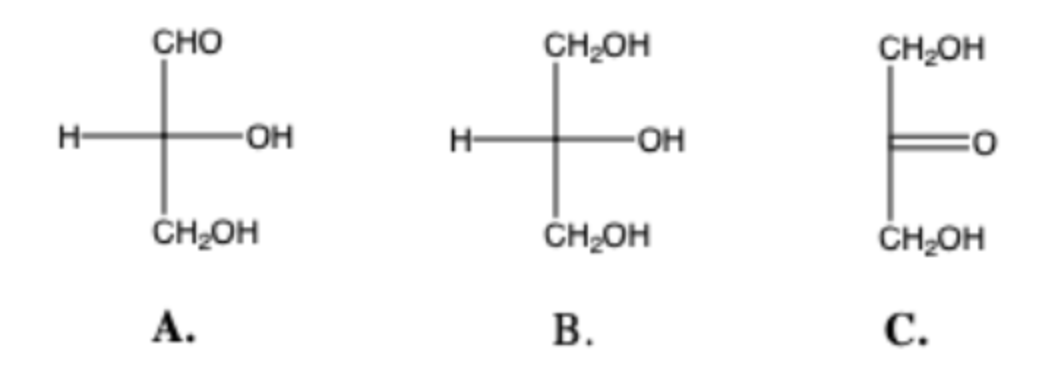 Please Answer All 1 Which Molecule S Would Be Best Described With An Ose Suffix 2 Which Molecule S Could Be Bes 1
