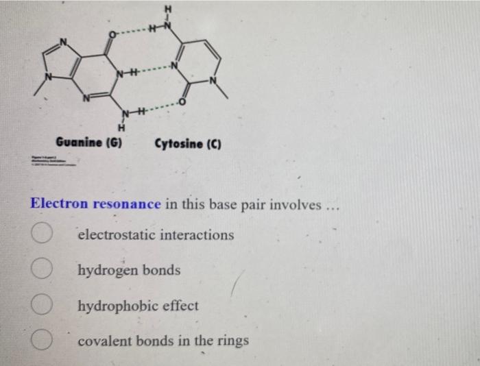 In Answering The Following Three Questions Refer To The Base Pair Shown Below Guanine G Cytosine C Which Chemica 3