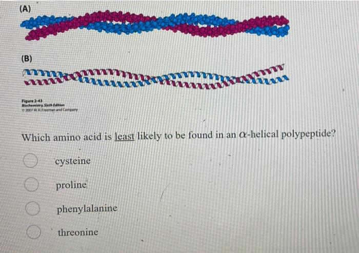 A B Fige Within Each A Helix What Chemical Group Serves As A Hydrogen Bond Acceptor Amino Carbonyl Hydroxyl Methyl 2